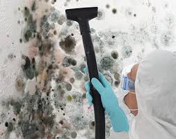 Reliable Jarrettsville, MD Mold Inspection Solutions